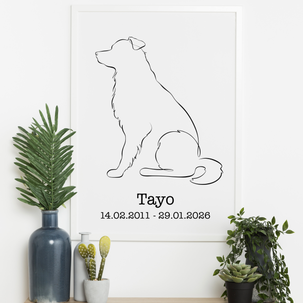 Personalized Dog Wall Art - BORDER COLLIE